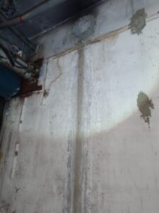 牆壁上的白蟻足跡