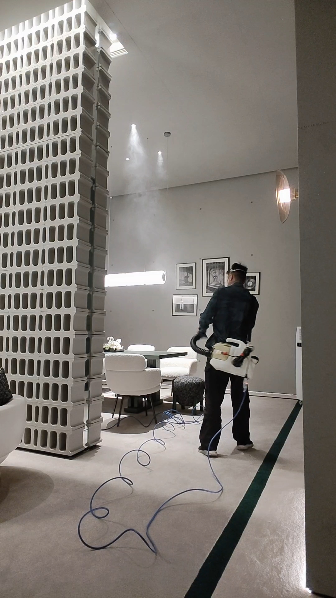 除跳蚤需要多久才有效？居家環境消毒的完整流程