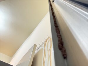 門框邊白蟻足跡