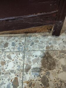 櫃子底部白蟻啃食塌陷