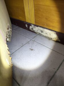 櫃子及牆壁邊底部白蟻啃食