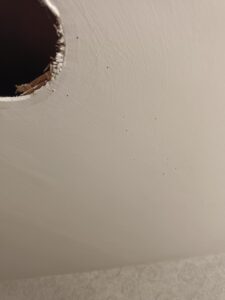 粉蛀蟲造成的小圓洞