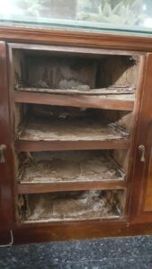 櫃體內木頭被白蟻掏空