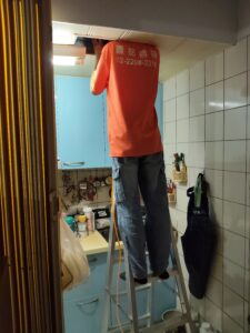 台北白蟻處理防治案例