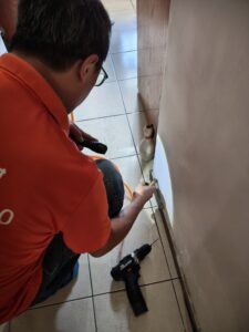 台北白蟻處理防治案例