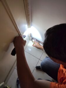 台北白蟻處理防治案例