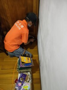 台北白蟻處理防治案例