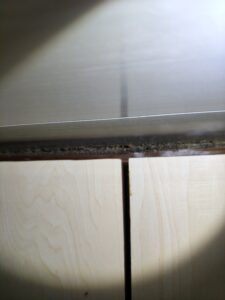 三重白蟻危害實例