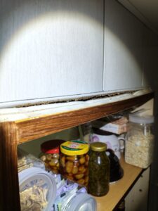 三重白蟻危害實例