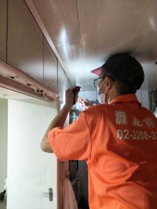 新北白蟻處理防治案例