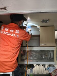 新北白蟻處理防治案例