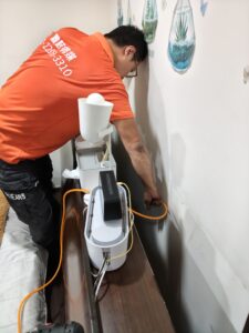 新北白蟻處理防治案例