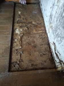 白蟻巢穴拆除後的地面