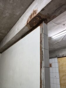 天花板拆除後的白蟻狀況