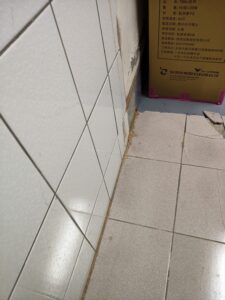 地面磁磚白蟻足跡