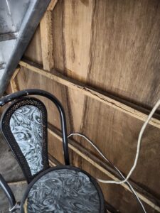 樓梯下倉庫內木頭白蟻啃食狀況