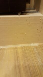 粉蠹蟲蛀食櫃體,產生孔洞及粉末