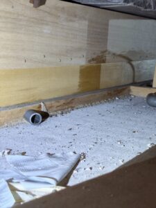 角料邊蟻道的出現