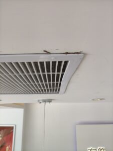 冷氣出風口蟻道的出現