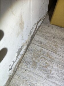 牆壁邊蟻道的出現