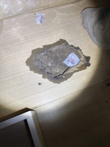 白蟻腐蝕成大洞