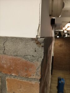 水泥牆縫蟻道竄出