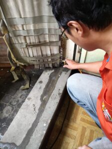 新北白蟻防治施工