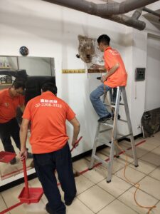 白蟻防治作業