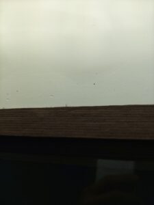 天花板蛀蟲孔洞
