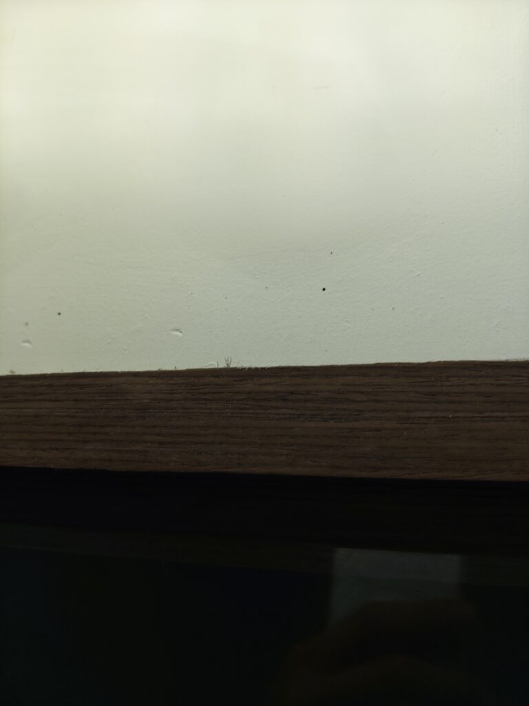天花板蛀蟲孔洞