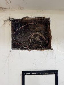 管線內白蟻築巢現象