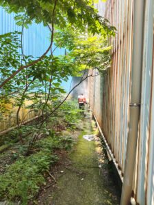 桃園工廠病媒蚊防治