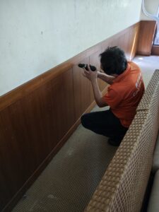 蘆竹白蟻防治施工