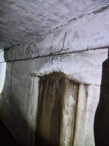 牆體上出現的蟻道足跡