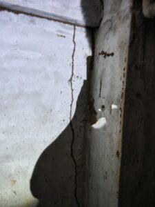 牆體上出現的蟻道足跡