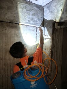 白蟻防治作業