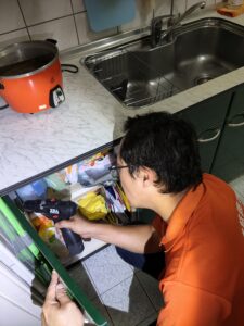 新店白蟻防治施工