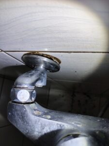 水管內壁白蟻活動足跡