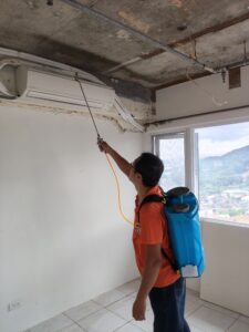 白蟻防治施工