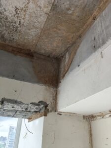 室內牆角白蟻蟻道