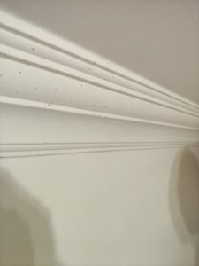 木質線板粉蛀蟲蛀孔