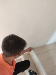 透天白蟻防治