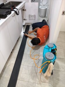 透天白蟻防治
