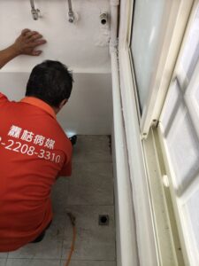 透天白蟻防治