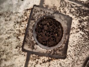 地漏排水孔積滿白蟻土推