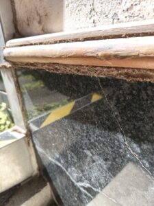 戶外大理石與木作結構的細縫中,也佈滿了細小的白蟻泥土線,代表白蟻早已從外圍牆縫伺機入侵室內